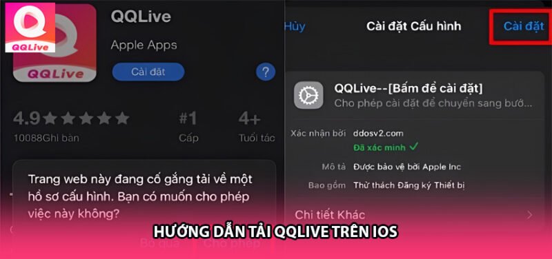 Hướng Dẫn Tải QQLive Trên iOS
